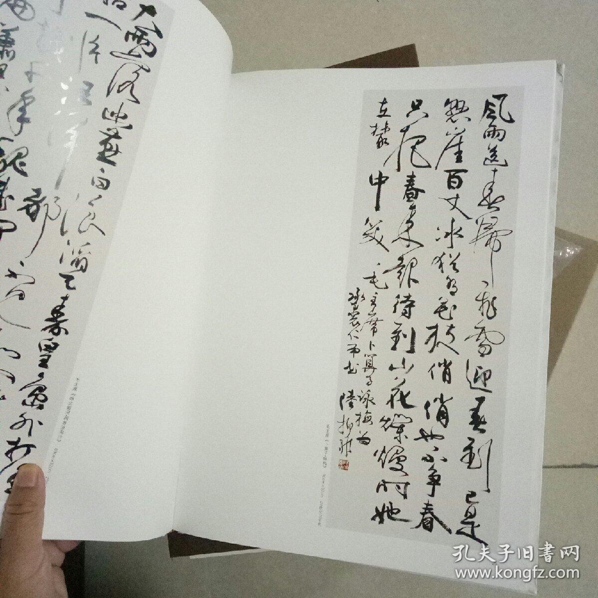 陆抑非书法集