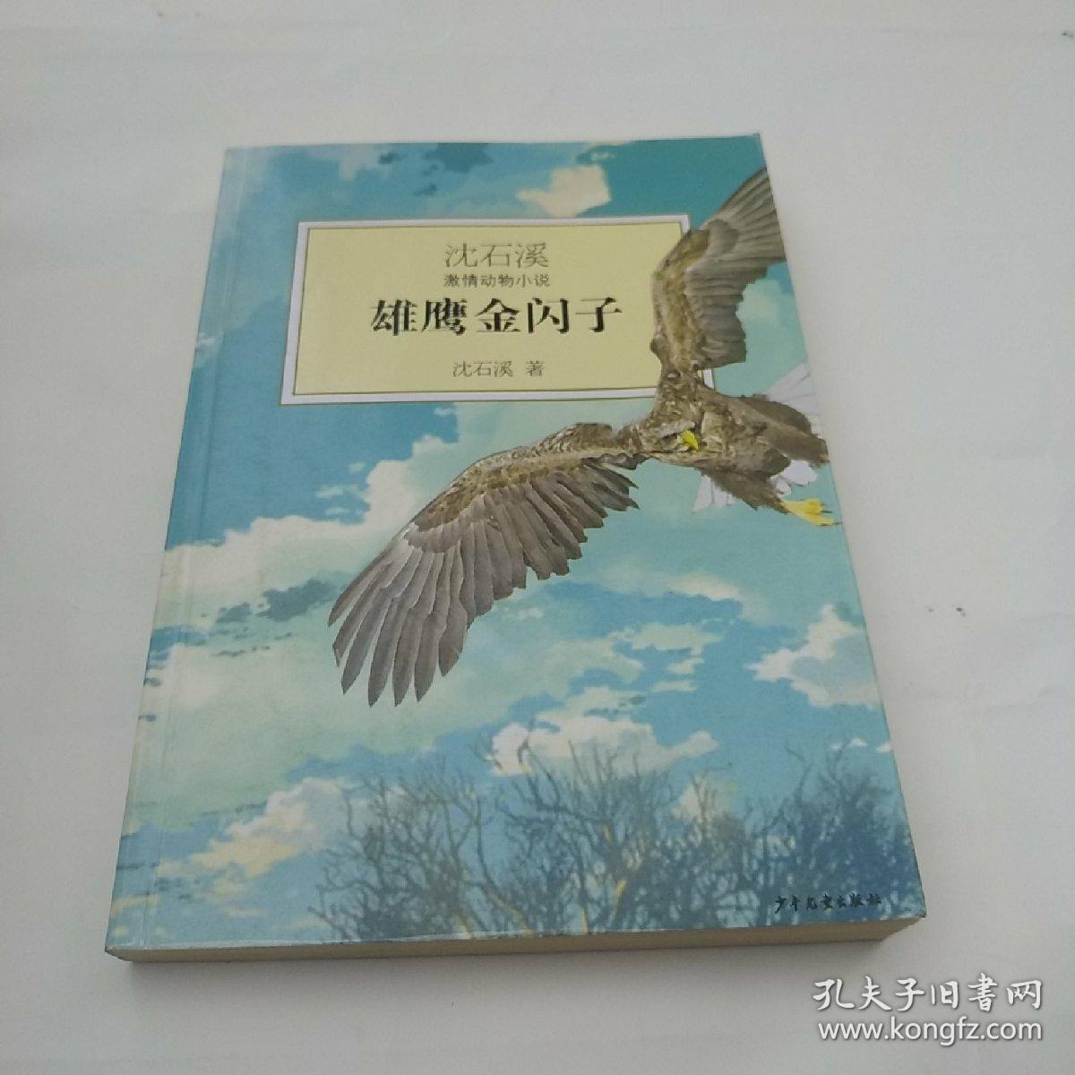 沈石溪激情动物小说:雄鹰金闪子