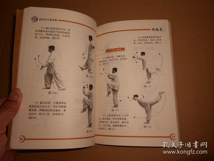武当太乙-游龙拳-一版一印