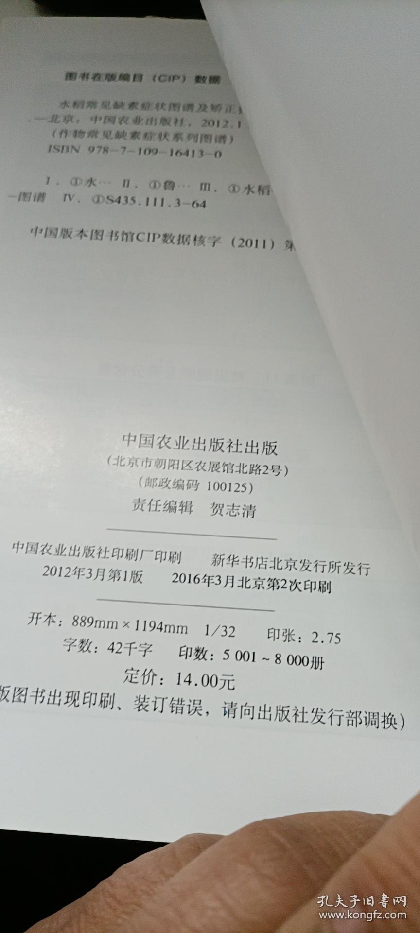 玉米简谱_玉米男孩(3)