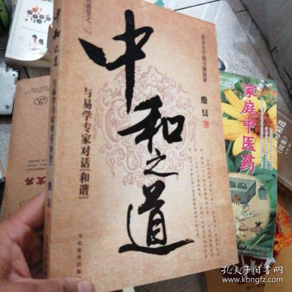 中和之道与易学专家对话和谐