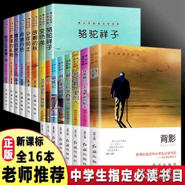 02bfebfc7984d2b843_n.jpg