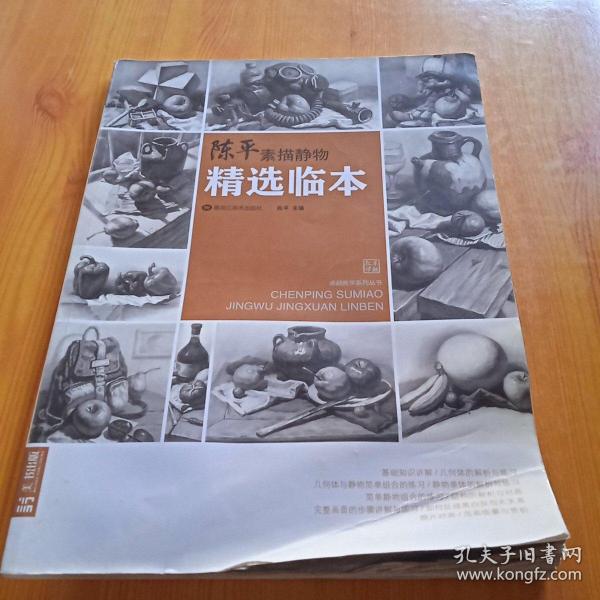 陈平素描静物精选临本