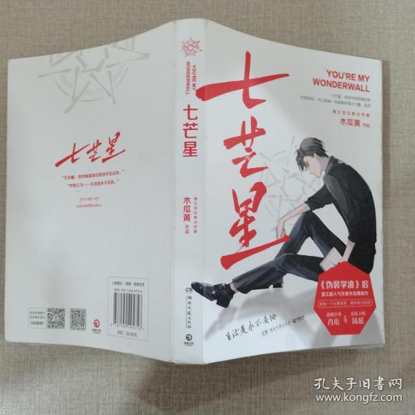 七芒星木瓜黄小说作品集上
