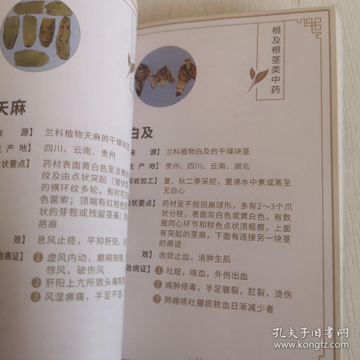 百草图鉴(中药速记图卡手册)