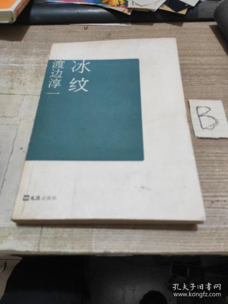 《冰纹》低价购书_[日]渡边淳一_小说_孔网