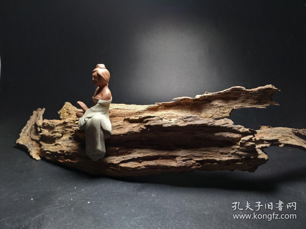 风化木枯木枯树根雕根艺老树根老树桩干树枝老树洞水漂木阴沉木微缩