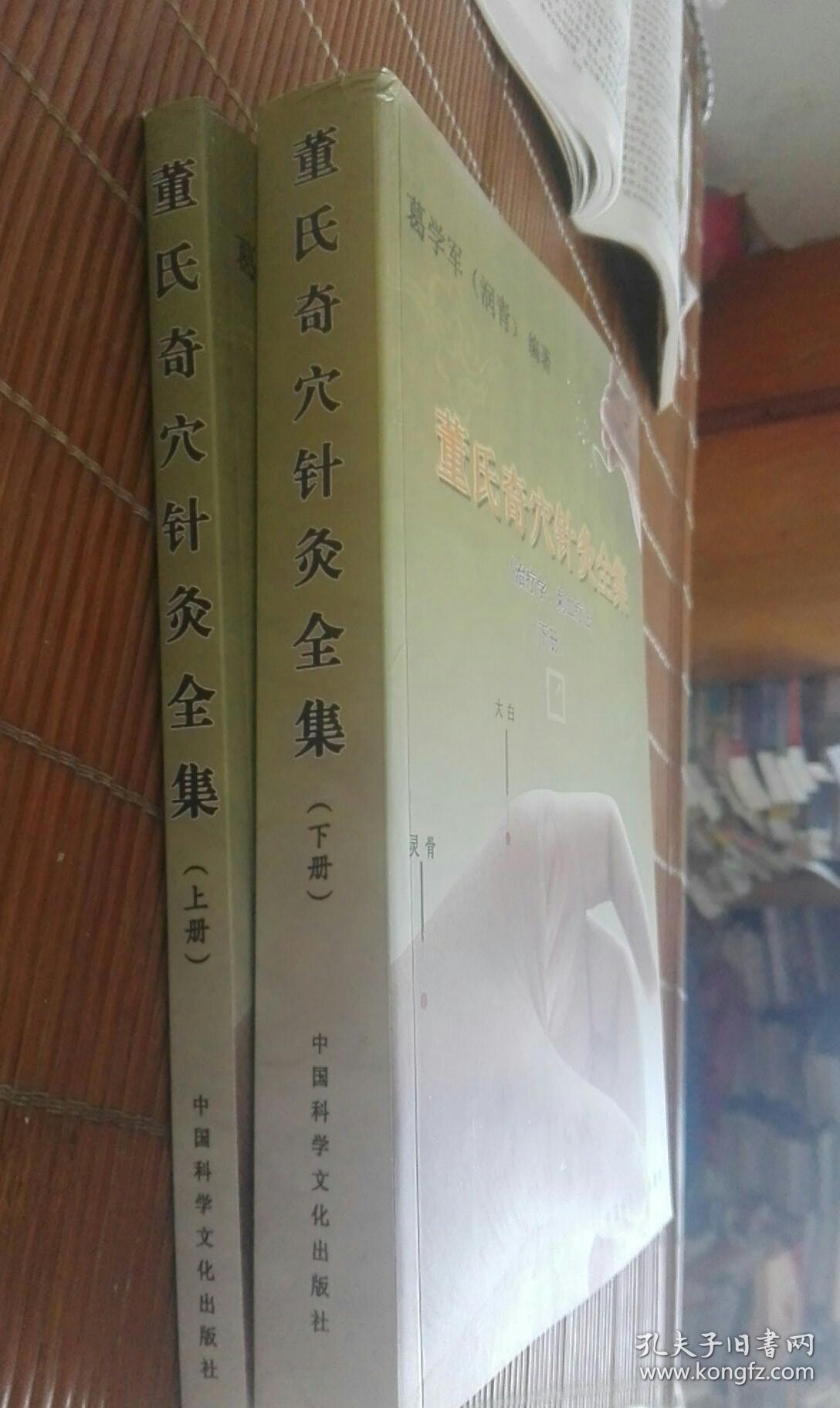《董氏奇穴针灸全集》上下册16开667页 葛学军(库存原版书)