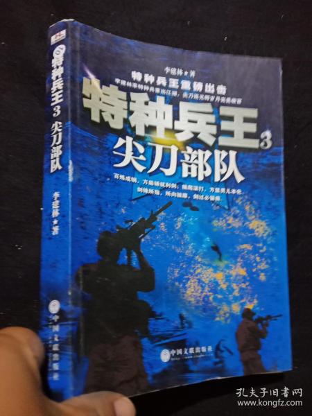 特种兵 王 尖刀 部队