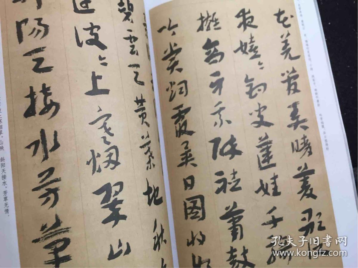 郑振华章草宋词选