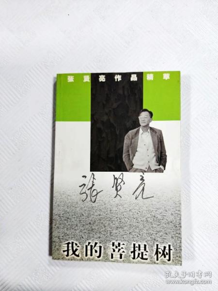 张贤亮作品精萃(全七册)