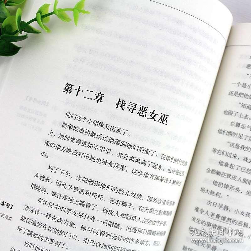 绿野仙踪简谱_绿野仙踪简谱歌谱(3)