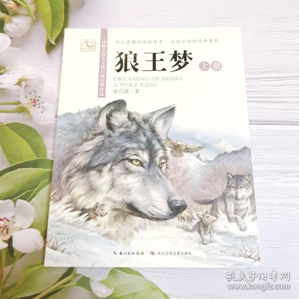 《狼王梦》低价购书_沈石溪 著_童书_孔网