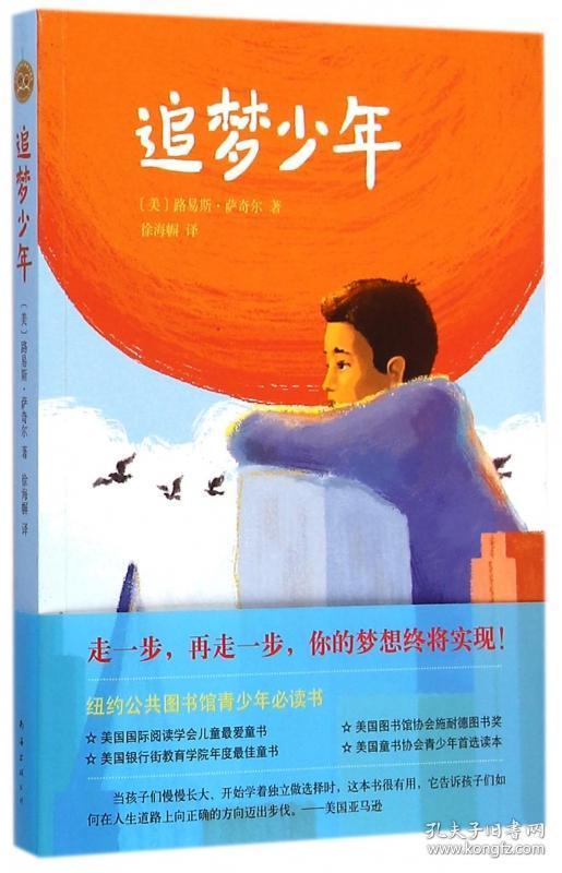 正版 追梦少年 南海出版社 路易斯·萨奇尔著123456年级教师推 荐阅读
