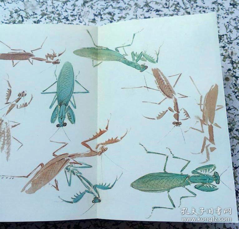 《萧朗画草虫》 (花鸟画集,教程 )