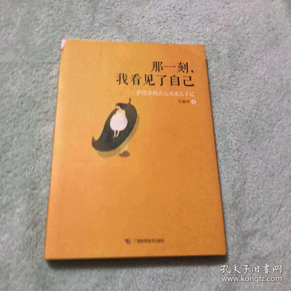 那一刻,我看见了自己:萨提亚模式心灵成长手记