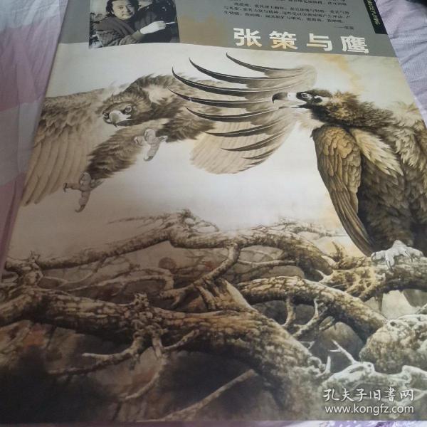 张策与鹰