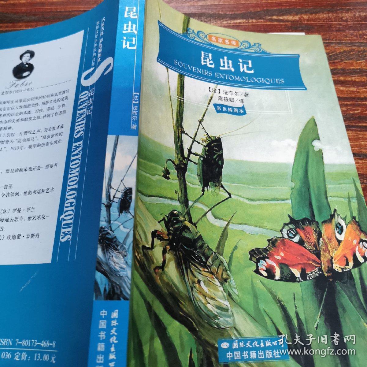 老象虫 蟹蛛 纳尔仓那狼蛛 圆网蛛 迷宫蛛 克罗多蛛 天牛 萤火虫 昆虫