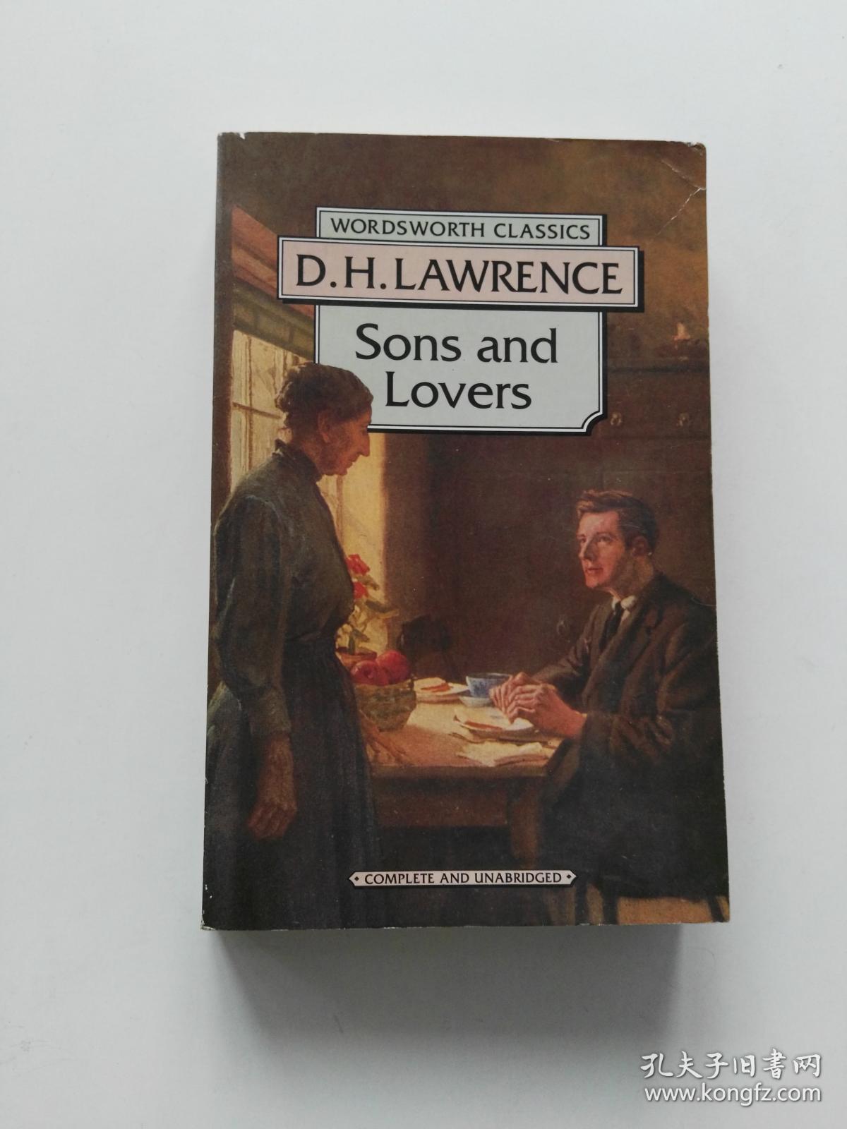 sons and lovers,the rainbow sonsandlovers