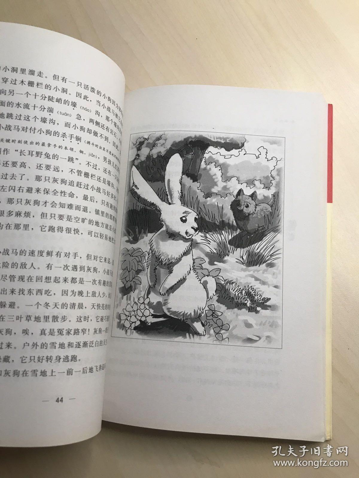 新时代健康产业董事长(2)