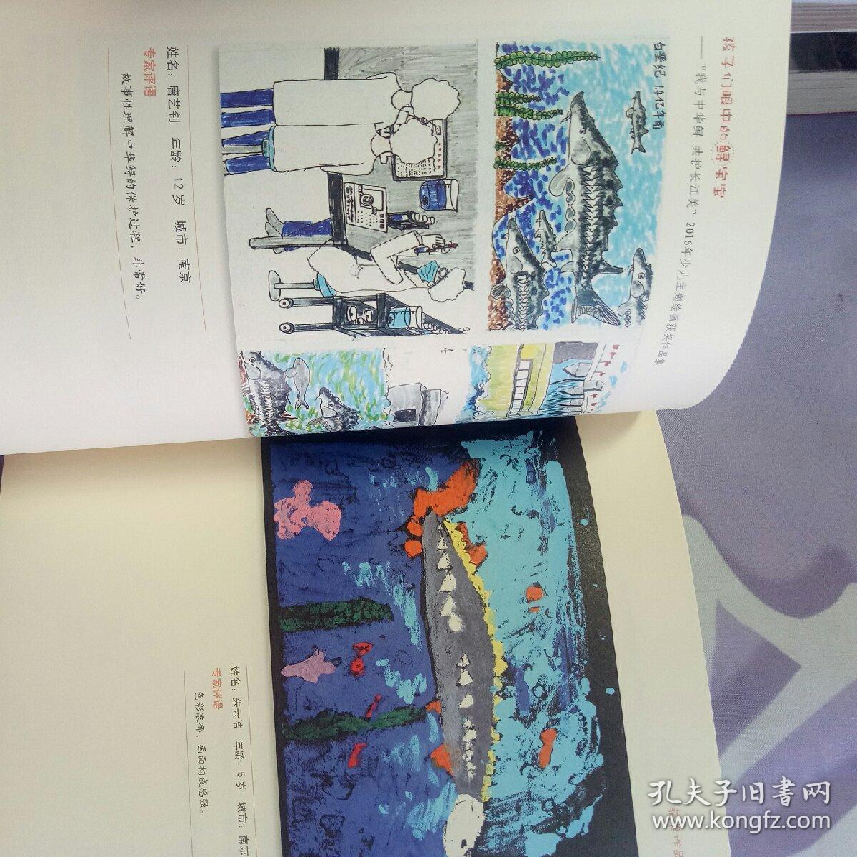 孩子们眼中大鲟宝宝:"我与中华鲟共护长江美"2016年少儿主题绘画获奖