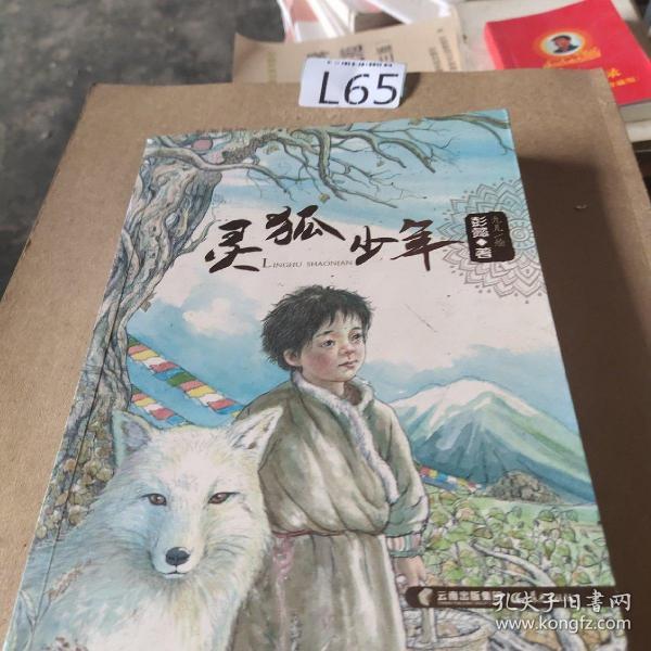 灵狐少年