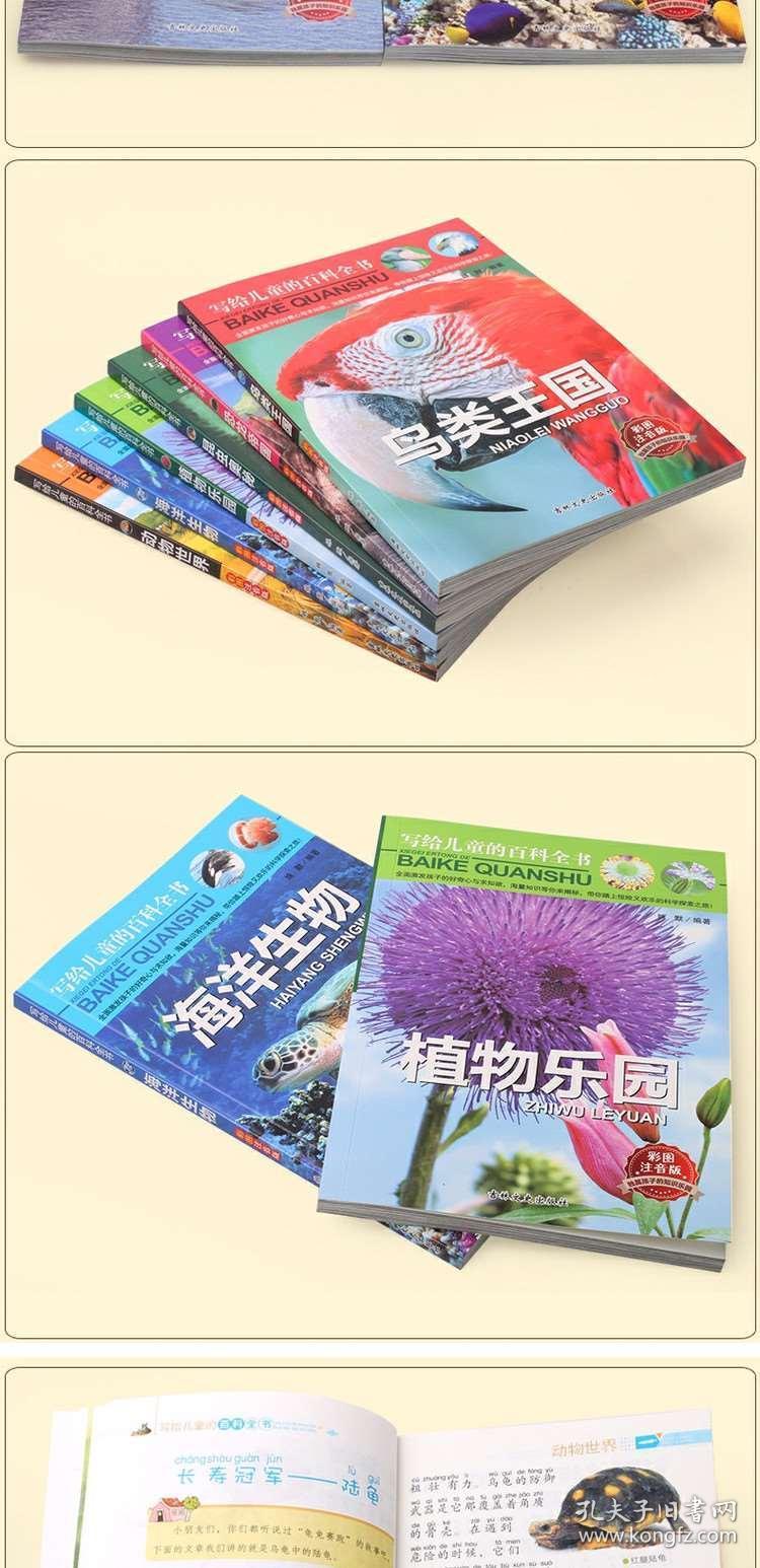 02e2aabca62415ae04_b.jpg