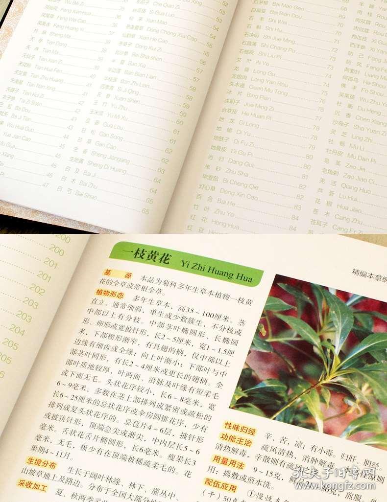 本草纲目简谱_本草纲目图片(2)