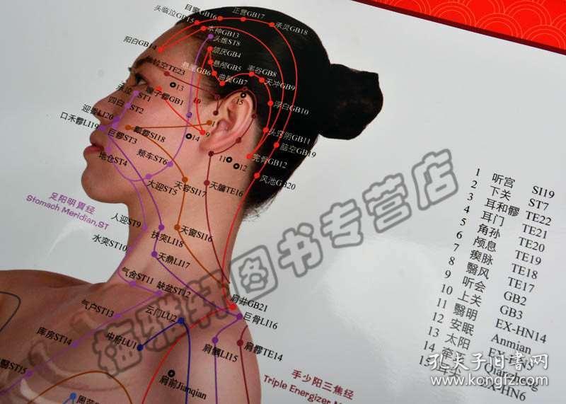 正版 最新国家标准针灸穴位挂图(女性真人版)大图解经络穴位针灸按摩