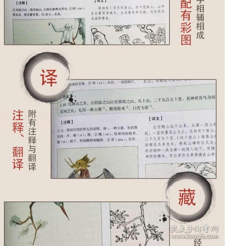 02e52ef80244323b80_b.jpg
