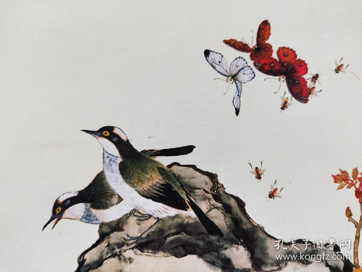 居廉富贵白头图彩色画稿微喷画芯3922cm