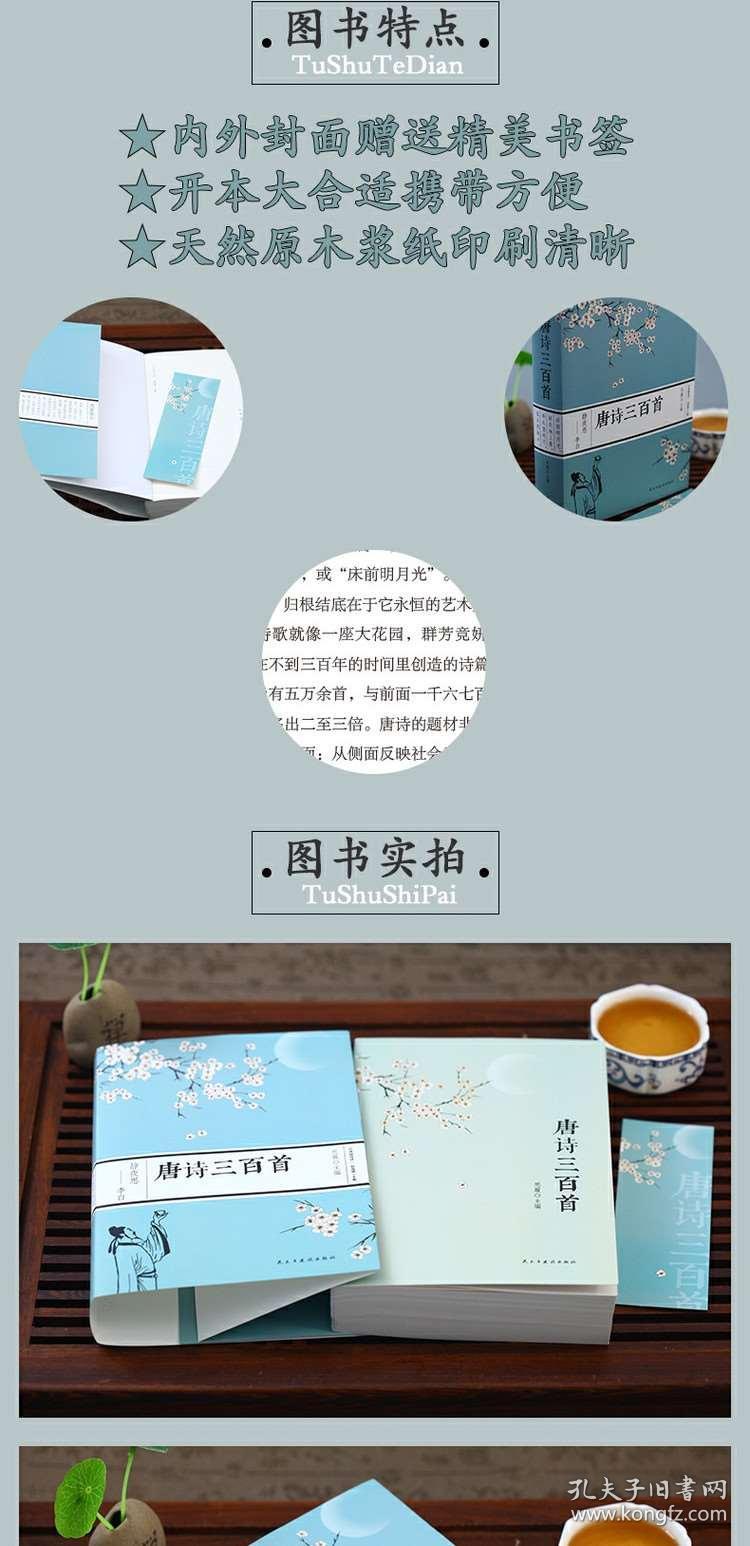02e7039412e393f202_b.jpg