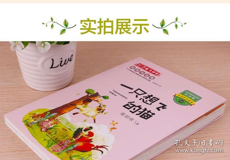 02ebfdcb5ed99d1136_b.jpg