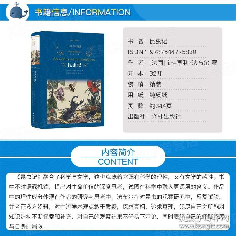 02ee037836e18cec9c_b.jpg