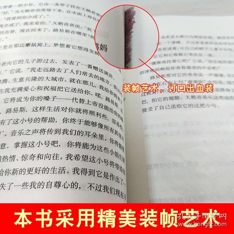 天鹅小号曲谱_吹小号的天鹅手抄报(3)