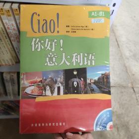 你好意大利语