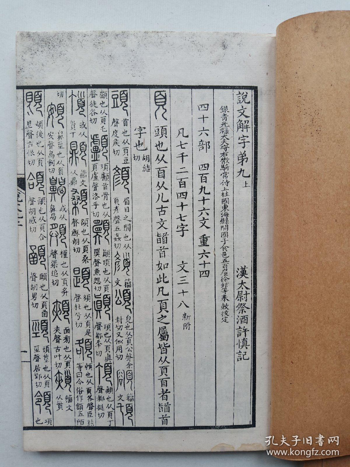 02f5a724161808eb02_b.jpg