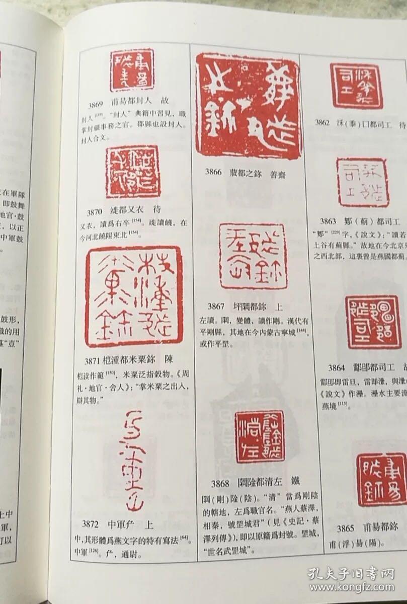 古玺印图典玺印篆刻收藏图鉴玺印印章玺印文字中国玺印类编玺印大典
