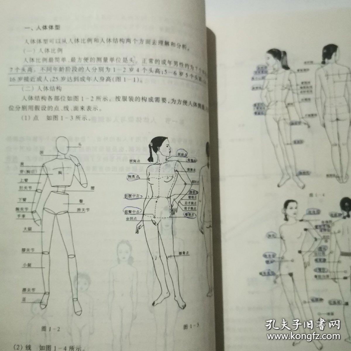 内衣结构制图_女衬衫款式图结构制图(3)
