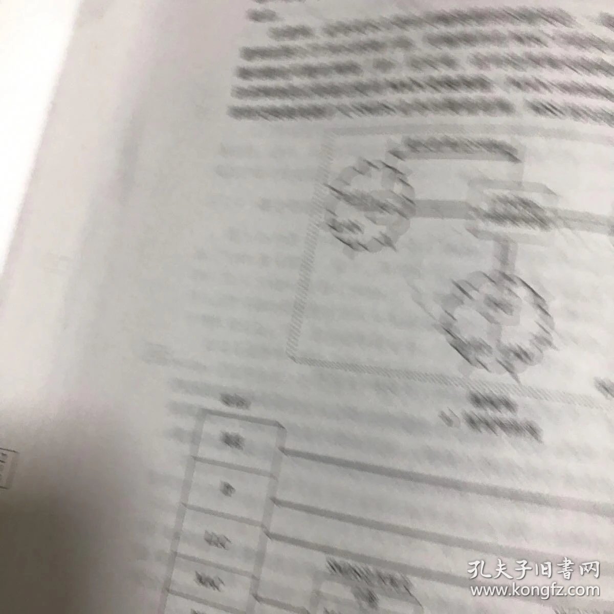 02fe0daa3ada62c613_b.jpg