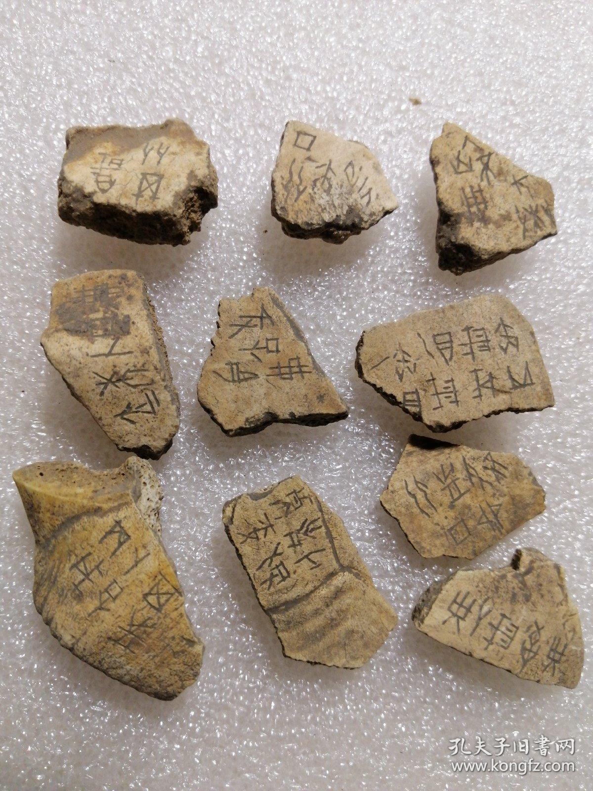商代甲骨文骨片10块 大小不一,这几个还算比较大尺寸 种类繁多 至今已