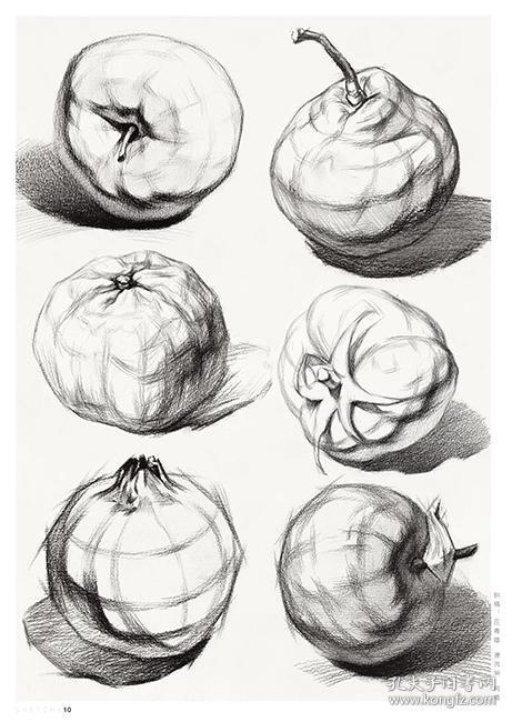 敲门砖 我的素描从入门到精通 结构静物 绘画素描基础教程 新手画画