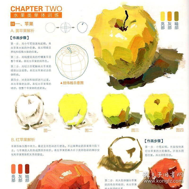 书水粉静物画零基础入门初学自学教程书单体组合色彩训练范画临摹技法