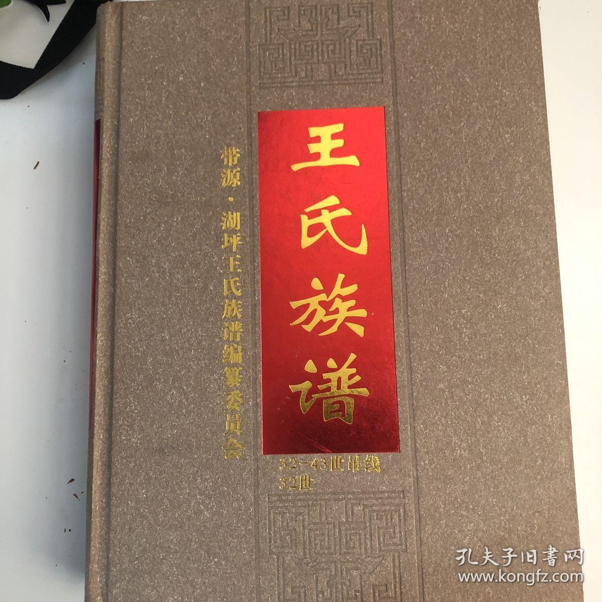 王氏族谱 带源·湖坪 【含谱首,卷七】
