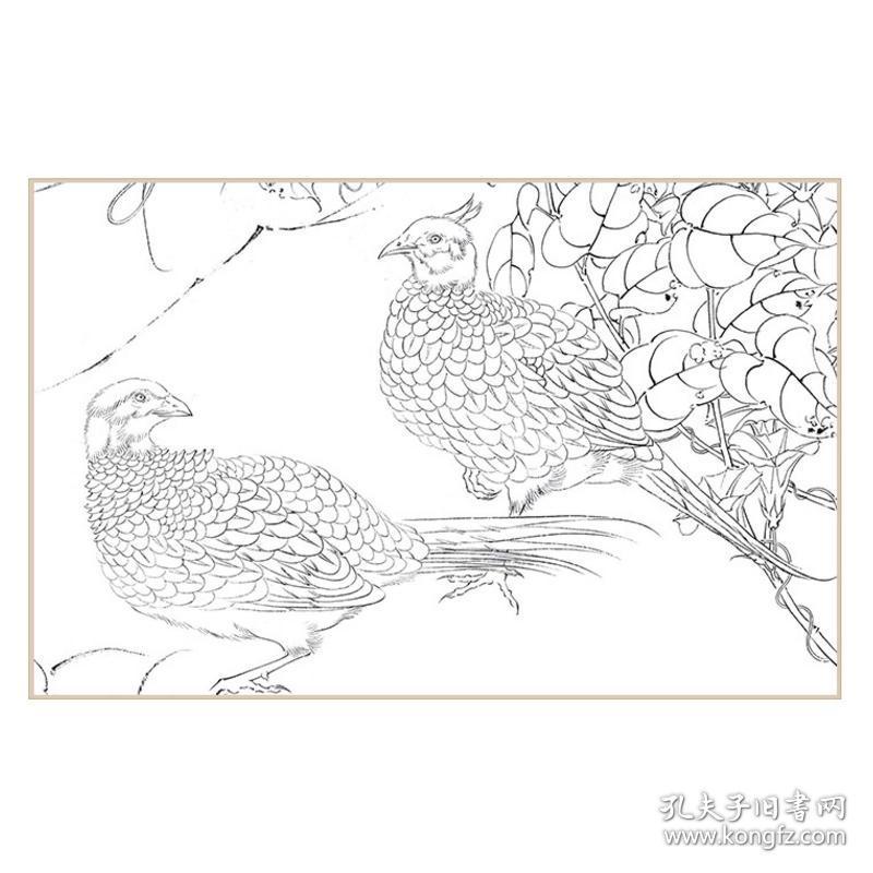 白描画谱白描禽鸟工笔画白描底稿初学者花草画册本墨点美术绘画教材