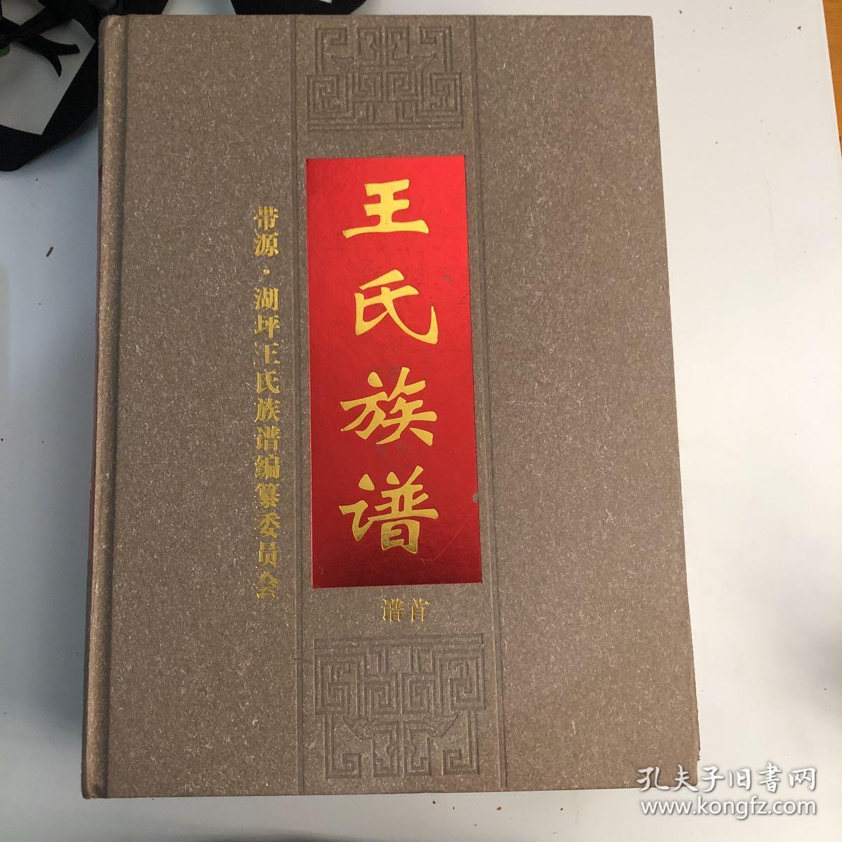 王氏族谱 带源·湖坪 【含谱首,卷七】