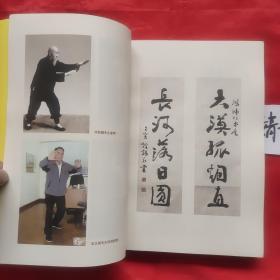 拳.八卦掌内家拳精典书籍,习练大成站桩