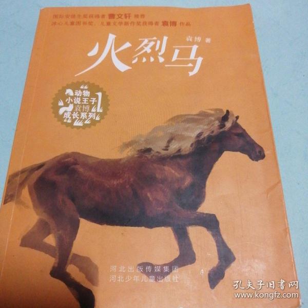 《火烈马》低价购书_袁博_童书_孔网