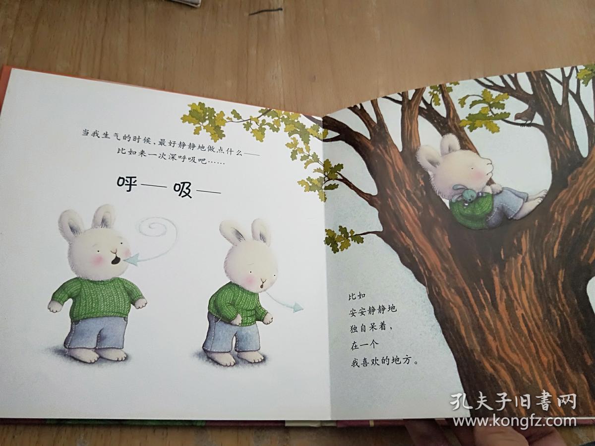 中国第一套儿童情绪管理图画书1:《我不想生气》