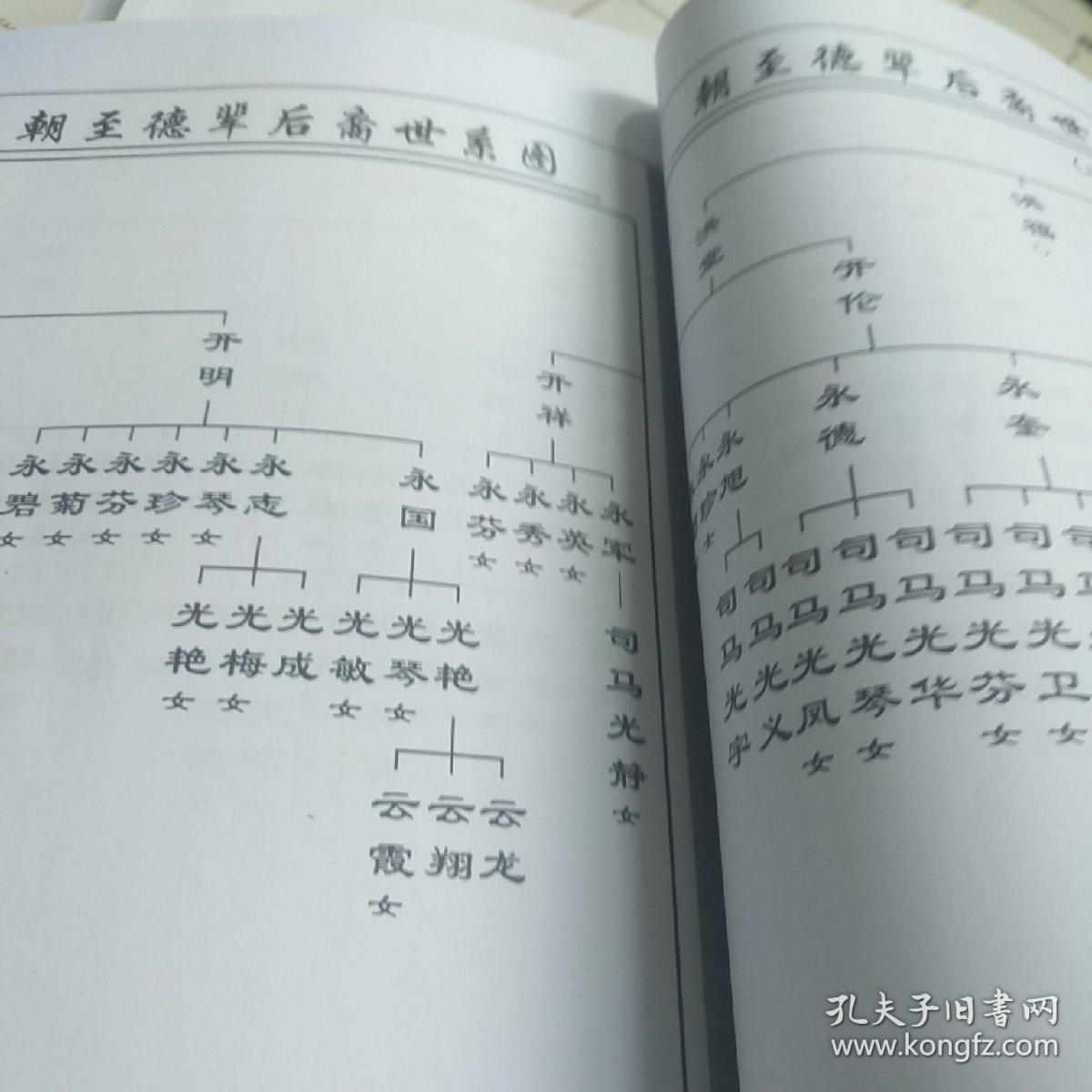 司马氏族族谱 湖北公安司马缙公篇(abcd四本)修改稿